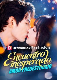 Póster de Encuentro inesperado, amor predestinado
