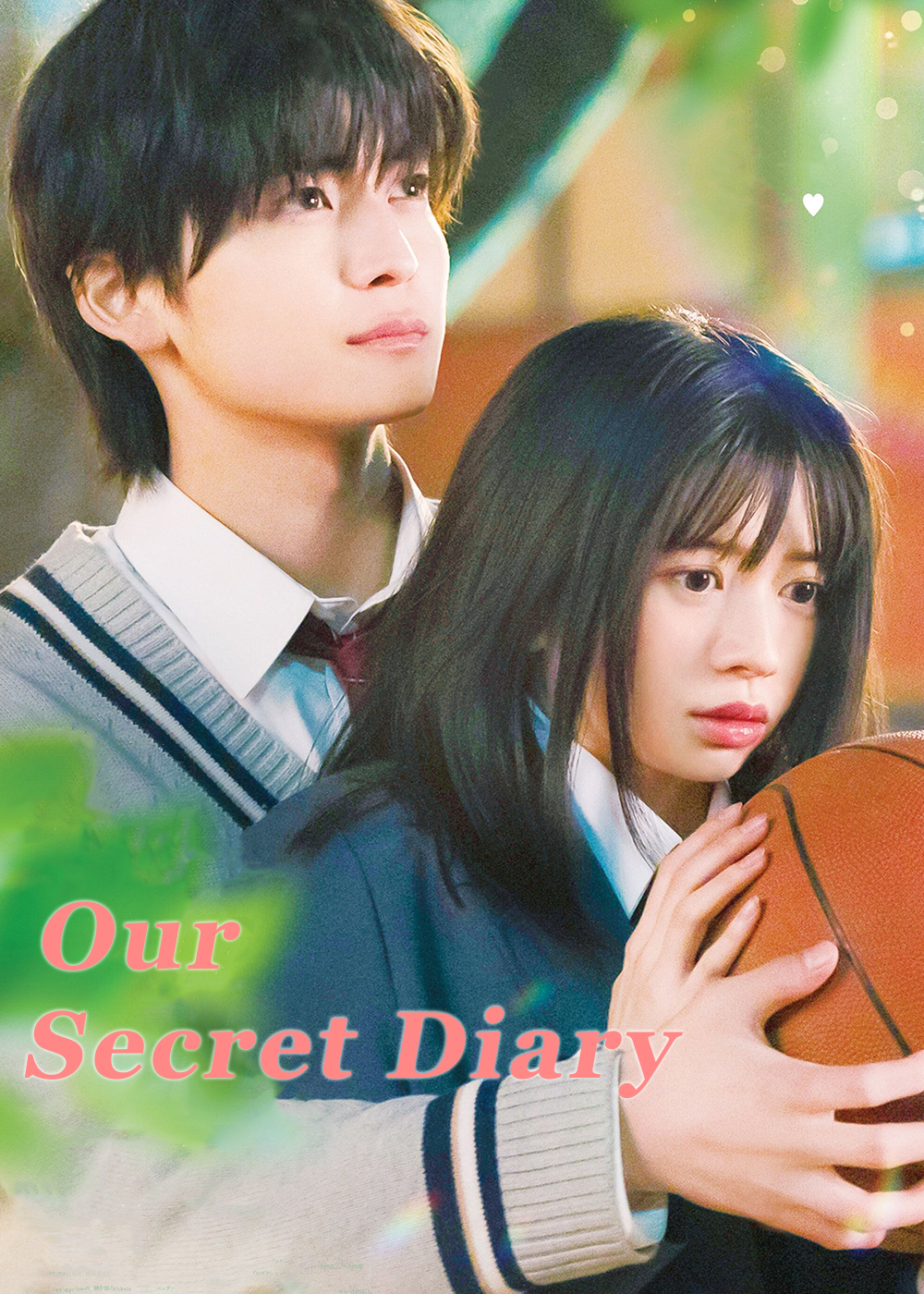 Póster de Nuestro Diario Secreto