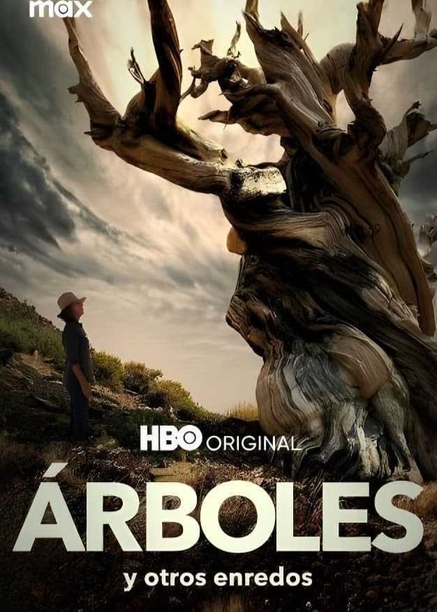 Póster de Árboles y otras ramificaciones