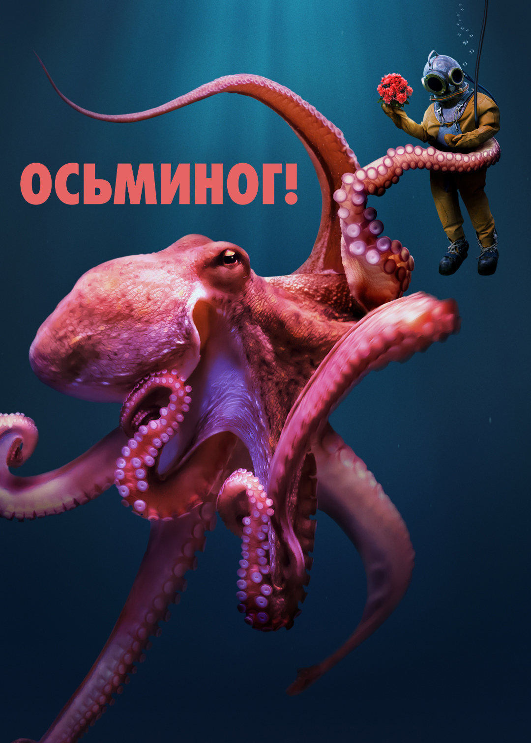 Póster de Octopus!