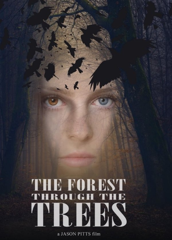Póster de El bosque a través de los árboles