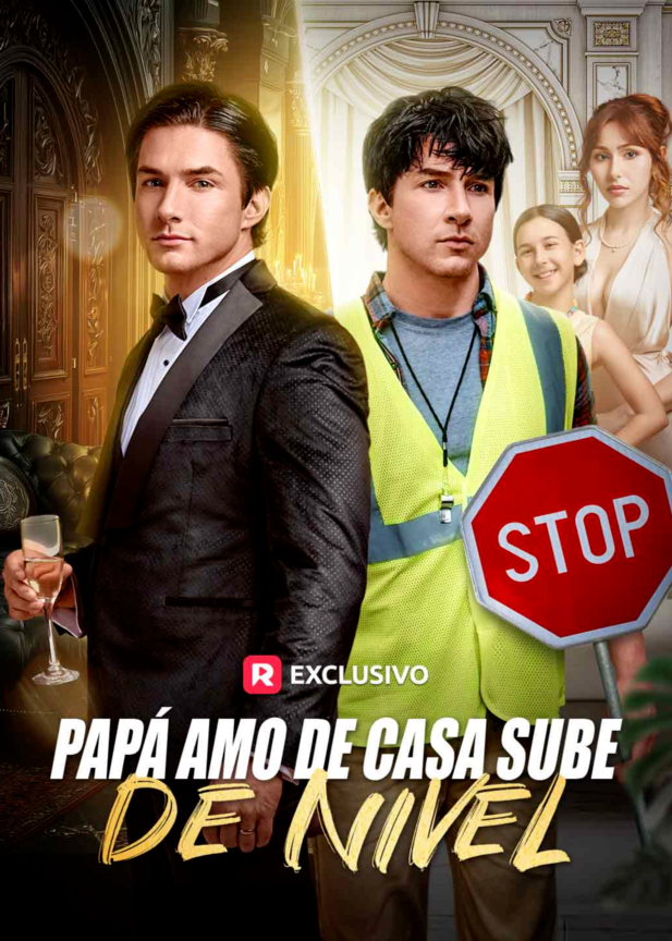Póster de Papá amo de casa sube de nivel