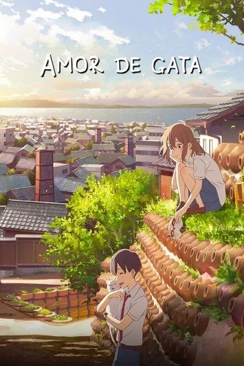 Póster de Amor de gata