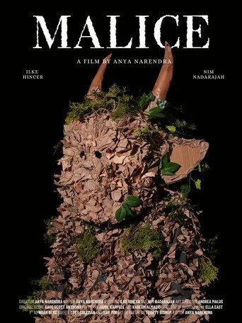 Póster de Malice