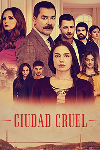 Póster de Zalim Istanbul
