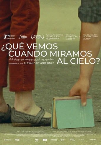 Póster de Que Vemos Cuando Miramos al Cielo?