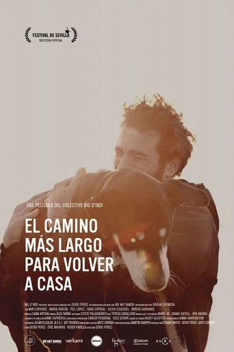 Póster de El largo camino a casa