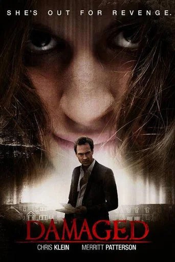 Póster de Damaged