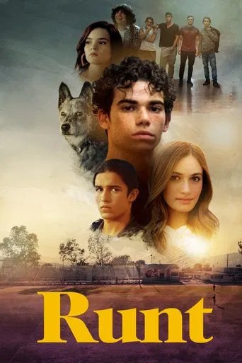 Póster de Runt