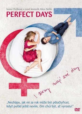 Póster de Perfect Days