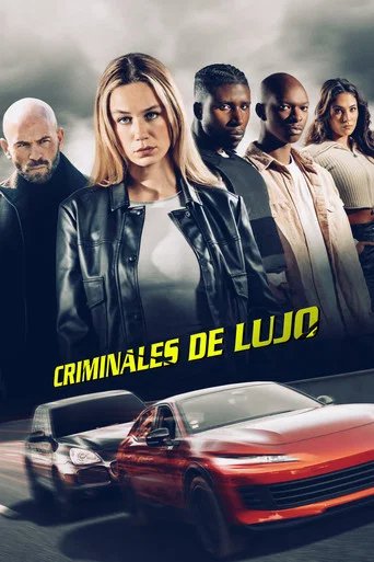 Póster de Carjackers