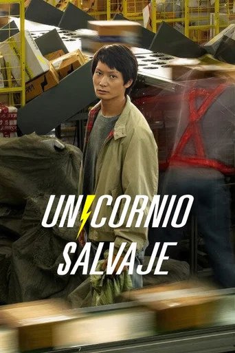 Póster de Mad Unicorn
