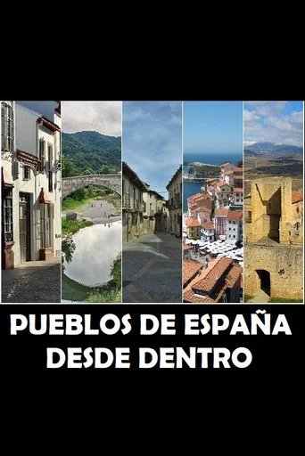 Póster de Desde dentro