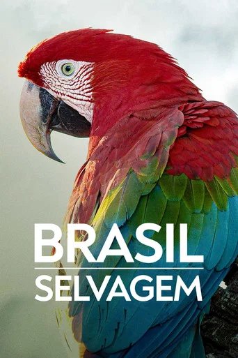 Póster de UNTAMED
